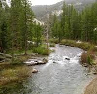 Meadow Valley Campground 2.26 acre deer hunting land in Eagle Valley, NV images 4
