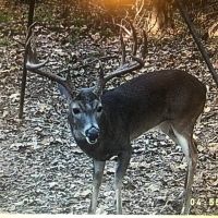 WHITEGRASS RANCH images 4