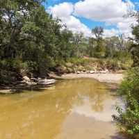 125 - Ac…Deep Creek Oaks Native cover Hunting RV Hookups