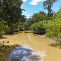 125 - Ac…Deep Creek Oaks Native cover Hunting RV Hookups images 4