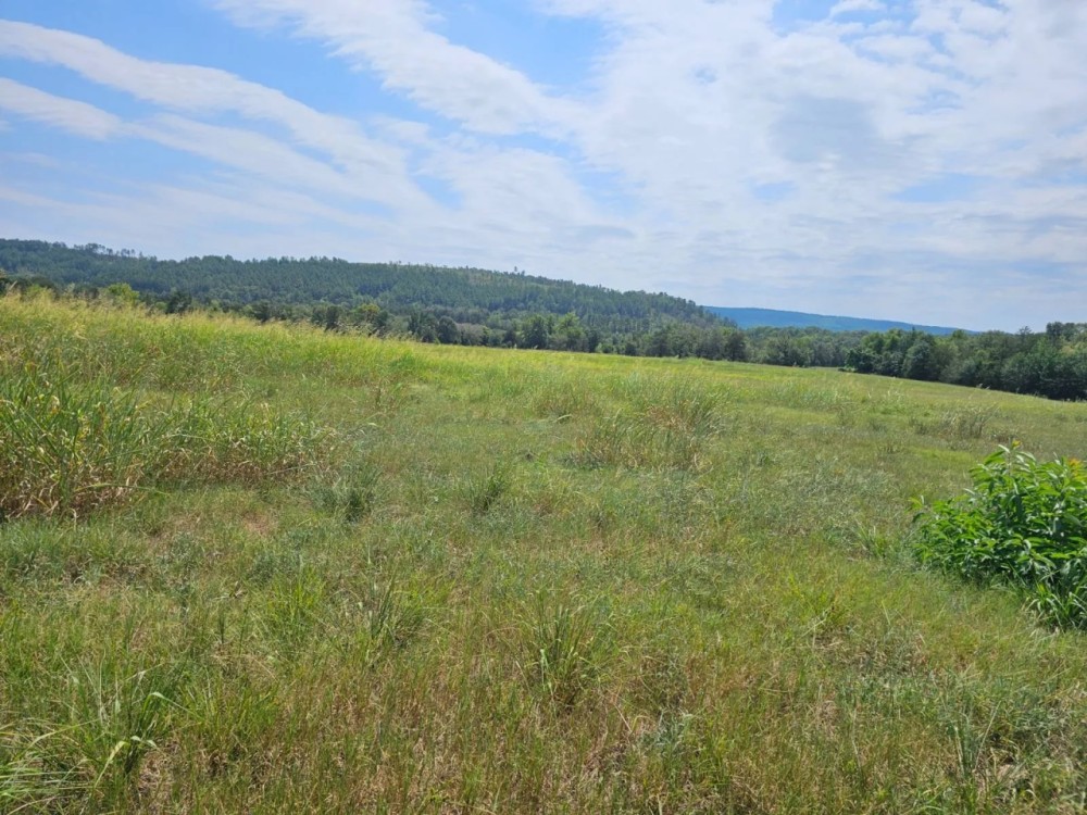 HOME AND 89 AC - HUNTING CATTLE RANCH featured image