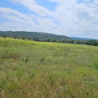 HOME AND 89 AC - HUNTING CATTLE RANCH