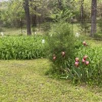 HOME AND 89 AC - HUNTING CATTLE RANCH images 5