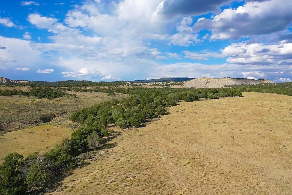 Woodall Ranch featured image