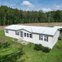 LA - Catahoula 17 acres - images 2