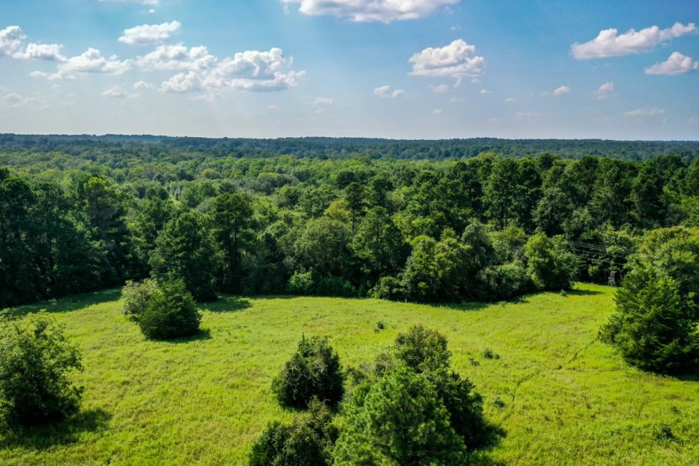70 Acres FM 1374 Huntsville TX 77340 featured image