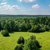 70 Acres FM 1374 Huntsville TX 77340