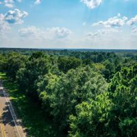 70 Acres FM 1374 Huntsville TX 77340 images 2