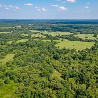70 Acres FM 1374 Huntsville TX 77340 images 3