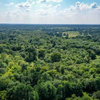 70 Acres FM 1374 Huntsville TX 77340 images 4