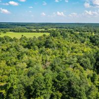 70 Acres FM 1374 Huntsville TX 77340 images 5
