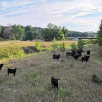 140 Acres - Knox County Nebraska - Tract 2 images 4