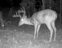 156 Acres in Winston County in Louisville MS images 2