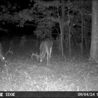 156 Acres in Winston County in Louisville MS images 3