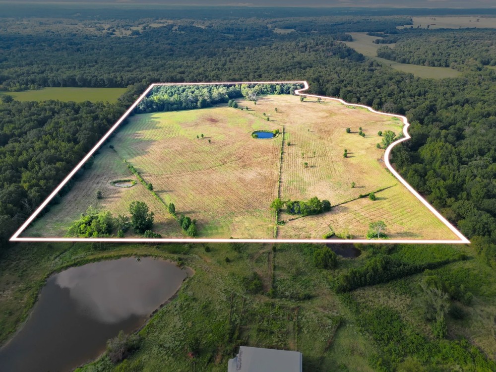 Neches River Land for sale in Van Zandt County Texas featured image