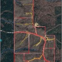 213 Acres in Webster County in Mantee MS