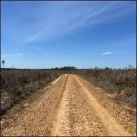 213 Acres in Webster County in Mantee MS images 3