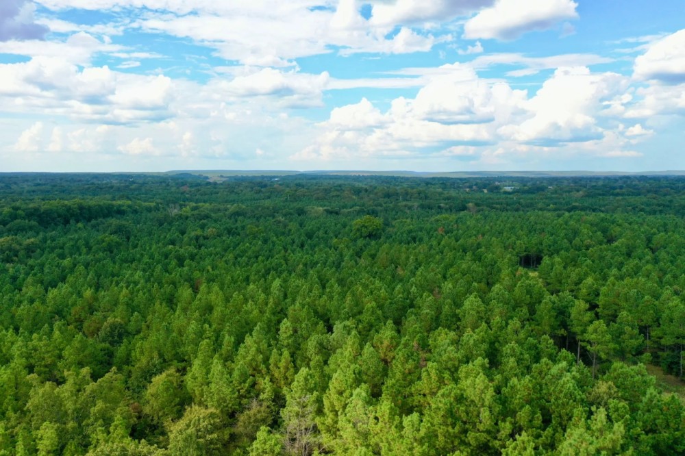 80 Acre Hunter s Paradise Antlers Oklahoma featured image