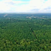 80 Acre Hunter s Paradise Antlers Oklahoma images 3