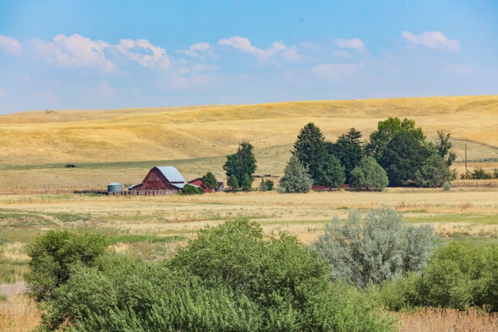 Big Willow Creek Ranch featured image
