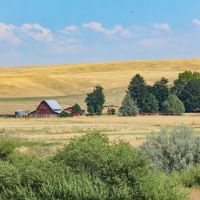 Big Willow Creek Ranch