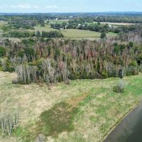 Private 53 acre Island located on the Seneca River in Weedsport NY Hickory Island images 3