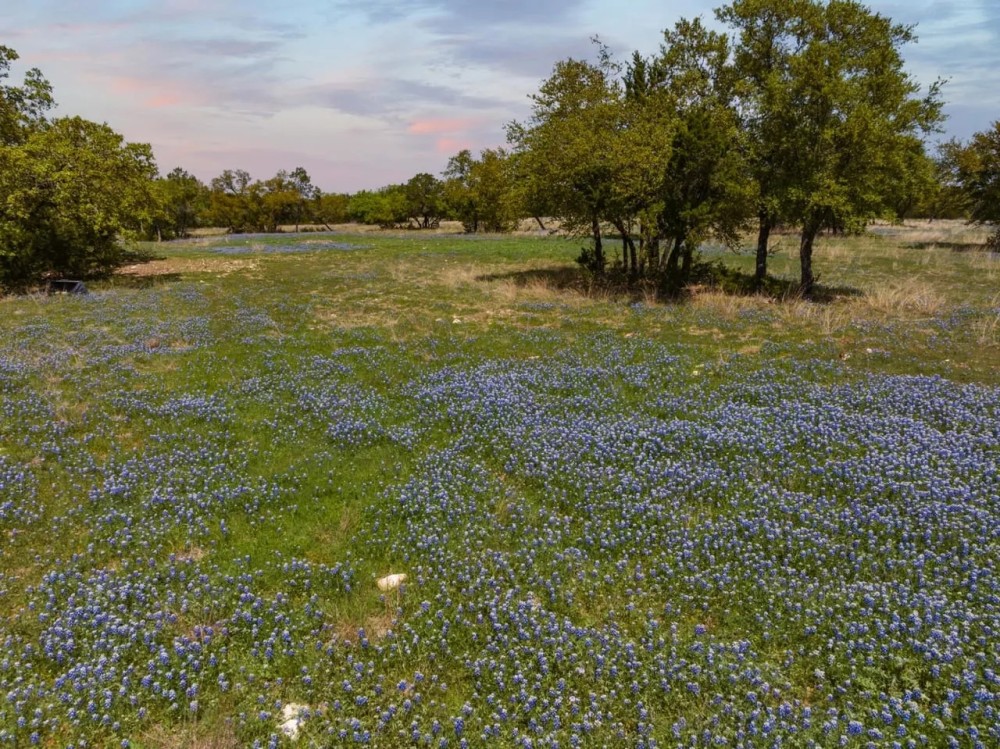 53 Acres Unimproved Recreational Property featured image
