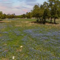 53 Acres Unimproved Recreational Property