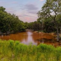 RD Ranch 78.78 Acres images 5