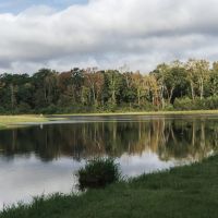 Camp Arcadia - Bienville Parish Hunting Property images 3