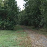 Camp Arcadia - Bienville Parish Hunting Property images 4