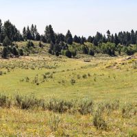 Spring Creek Ranch images 5
