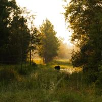 6 Mile Pasture images 3