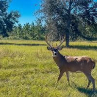 6 Mile Pasture images 4