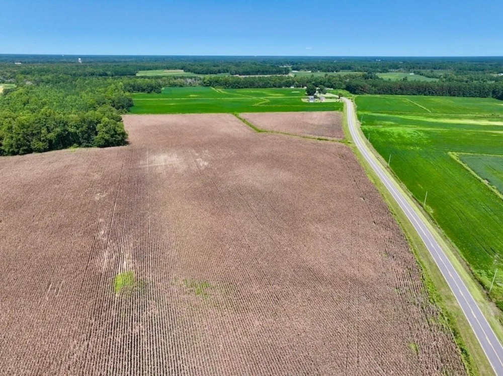 27.39 Acres of Multi-Use Farmland For Sale in Lenoir County NC featured image