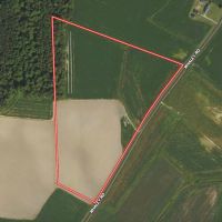 27.39 Acres of Multi-Use Farmland For Sale in Lenoir County NC images 2