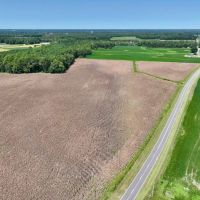 27.39 Acres of Multi-Use Farmland For Sale in Lenoir County NC images 3
