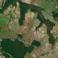 27.39 Acres of Multi-Use Farmland For Sale in Lenoir County NC images 4