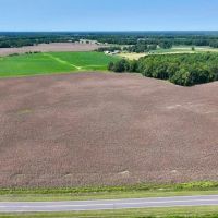 27.39 Acres of Multi-Use Farmland For Sale in Lenoir County NC images 5