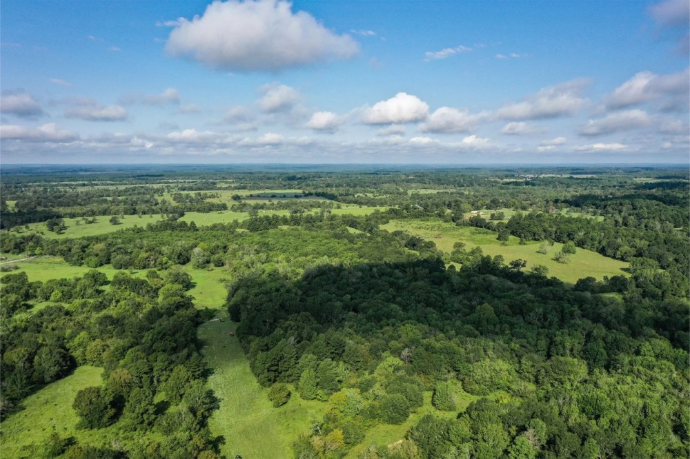 70 Acres FM 1374 Huntsville TX 77340 featured image