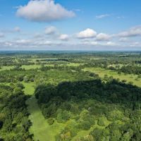 70 Acres FM 1374 Huntsville TX 77340