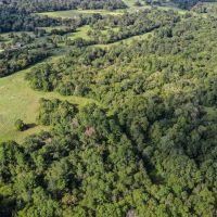 70 Acres FM 1374 Huntsville TX 77340 images 3