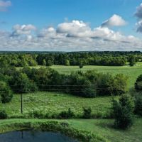 70 Acres FM 1374 Huntsville TX 77340 images 5