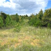 LIQUIDATION Highway 83 S images 2