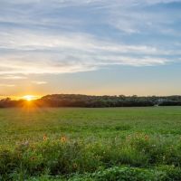 Nocona Moon Ranch 68.99 Acres images 3