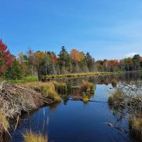 Quinn Mountain Magic images 4