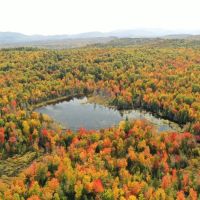 Quinn Mountain Magic images 5