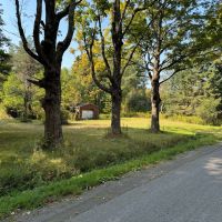 7.5 acre Building Lot and Hunting Land with Water Well bordering State Land in Gerry NY 2219 Old Chautauqua Rd
