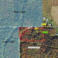 7.5 acre Building Lot and Hunting Land with Water Well bordering State Land in Gerry NY 2219 Old Chautauqua Rd images 2