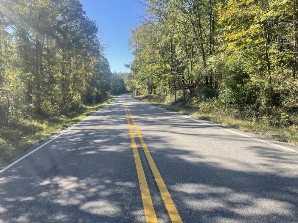 Lawrence Co. AL 18 Acres Bordering Bankhead National Forest featured image